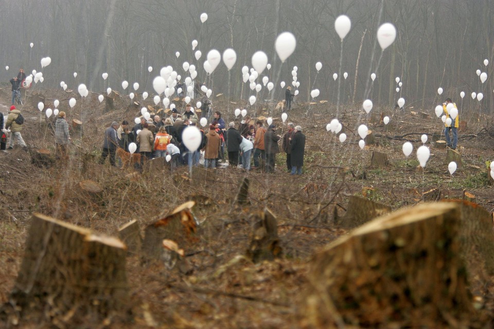 Inwoners van Schinveld demonstreerden in 2014 toen het bos gekapt moest worden voor een landingsbaan voor vliegtuigen.