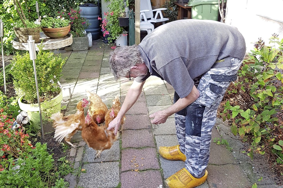 Rob Siffels voert thuis in zijn tuintje nog de kippen.