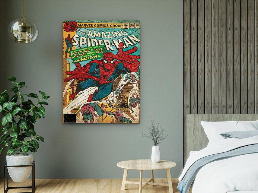 Retro afbeelding van Spiderman voor fans.