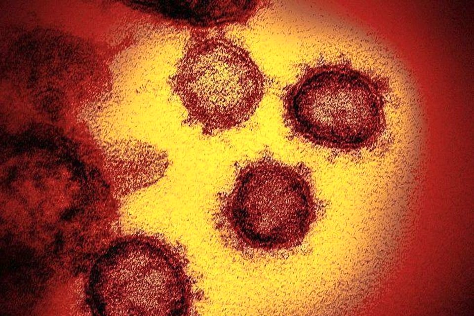 Het coronavirus heeft tot een explosie aan nieuwe besmettingen geleid.
