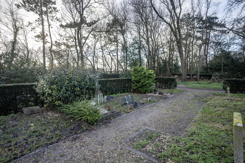 Het deel van de begraafplaats aan de Huisduinerweg waar overleden personen van gemeentewege worden begraven.