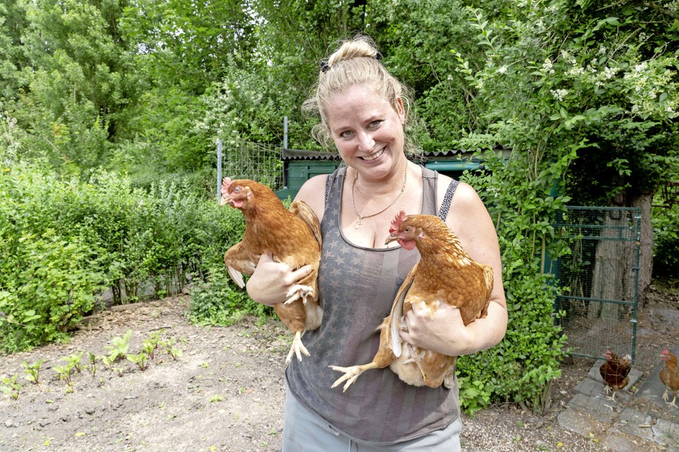 Ilona Meijers met haar kippen.
