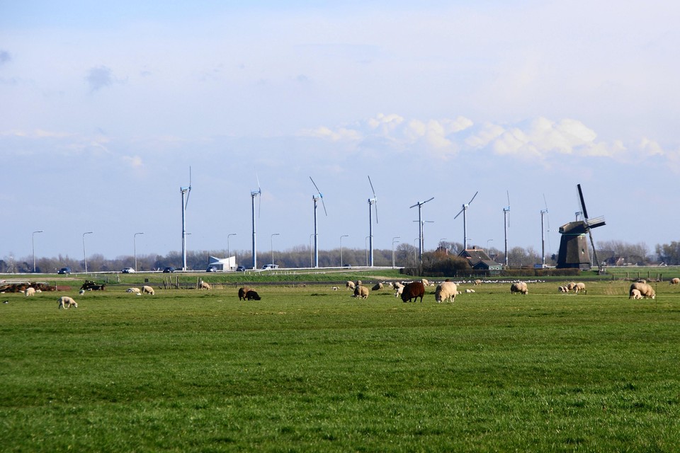 Windmolens bij Heerhugowaard.