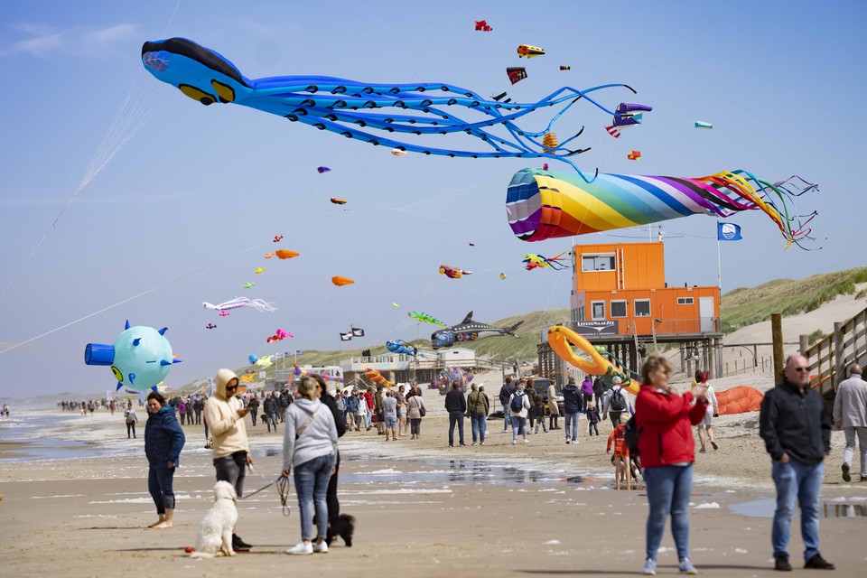 De octopus, die vinden ze het mooist: impressie van het Vliegerfestival op het strand van Callantsoog.