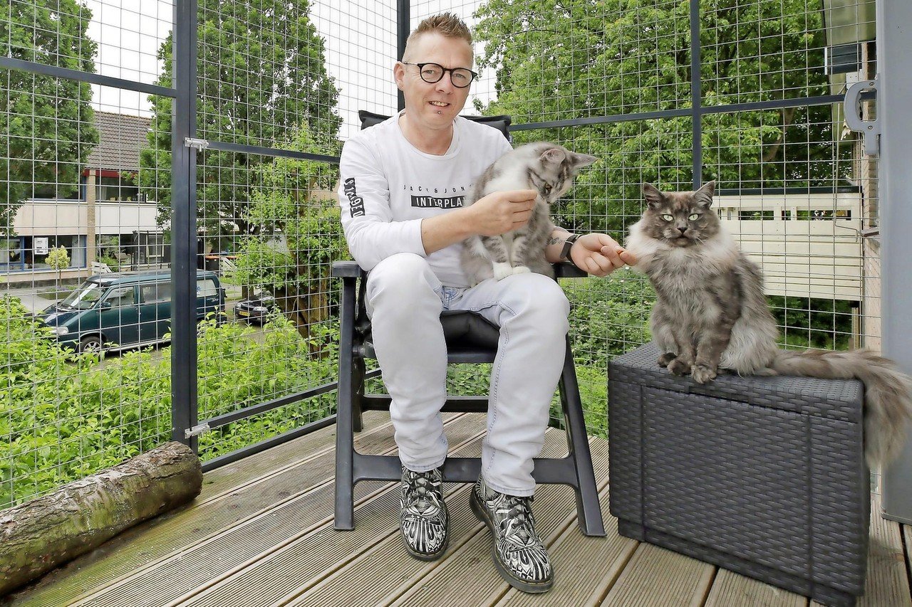 Veel steun behoud van kattenren balkon Schagen | Noordhollandsdagblad