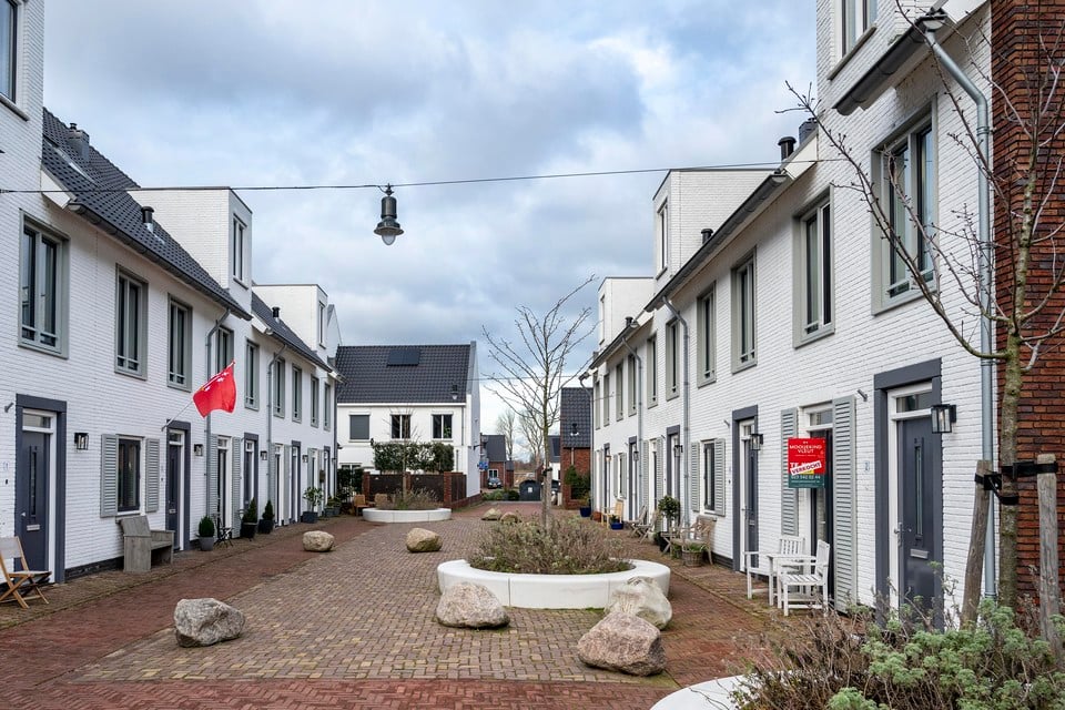De onlangs opgeleverde huizen in de Purcellstraat in het Vijverpark.