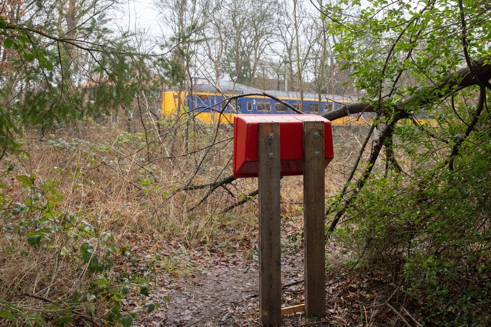 De brievenbus staat in de bosstrook langs het spoor, en is vanuit de trein dan ook goed te zien.