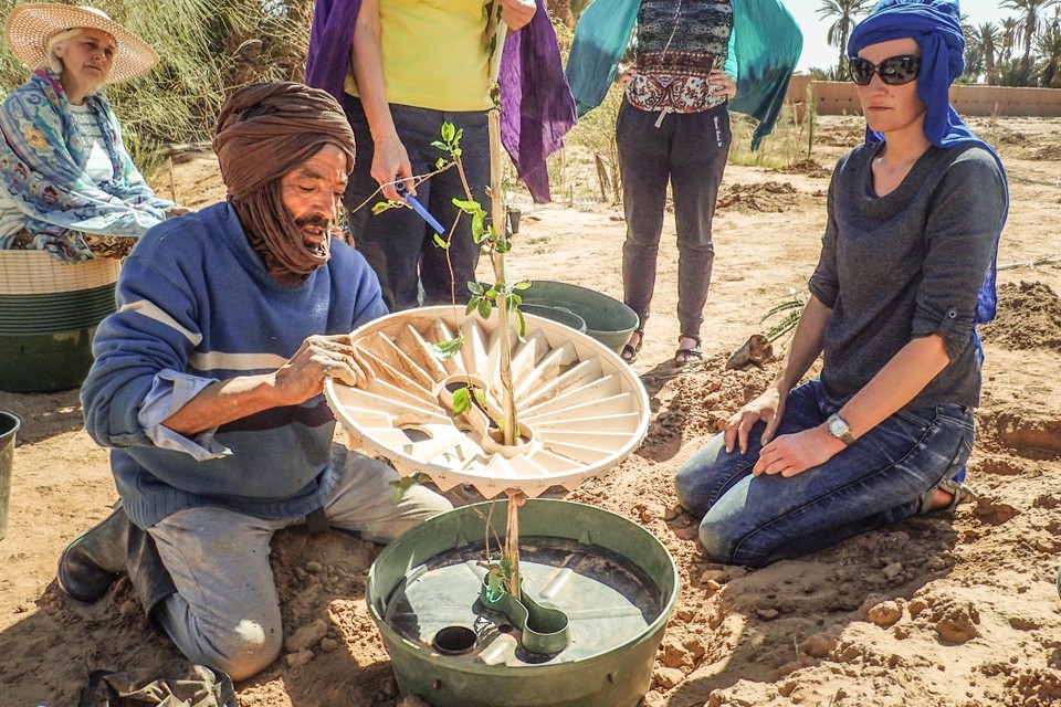 Karin Sluis plantte 132 bomen in de Sahara van Marokko.