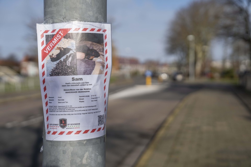 Door de straten van Den Helder hangen flyers van de vermiste Sam.