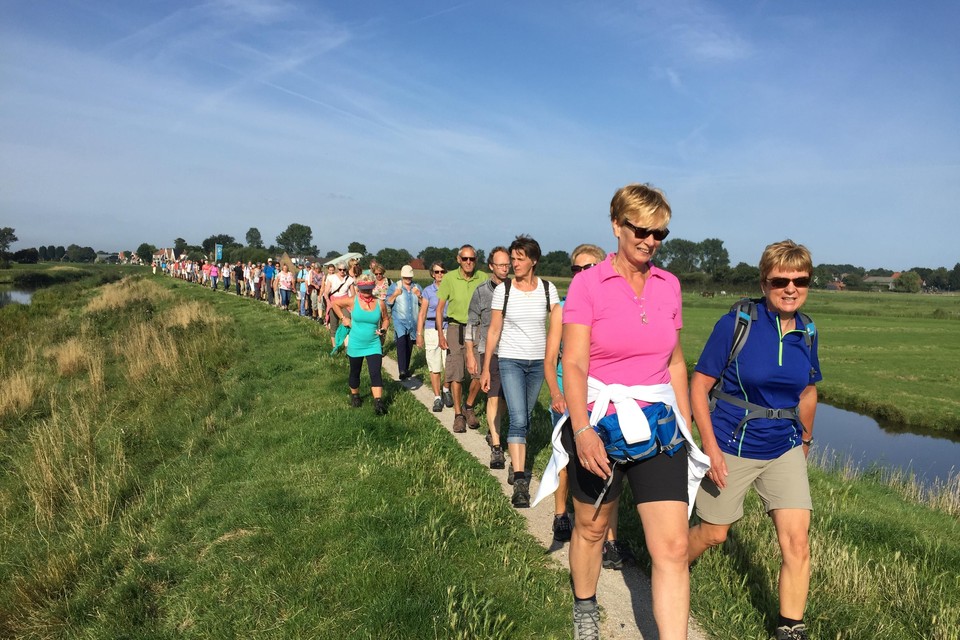 Kort na het vertrek van Rondje Noordkop op Wieringen: 176 NHD-wandelaars op de Hoelmerdijk nabij Westerland.