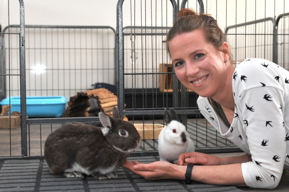 Sandra Korhorn leert konijnen kunstjes.