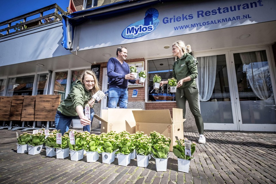 Eigenaar Spyros Zetas van Grieks Restaurant Mylos neemt de planten in ontvangst.
