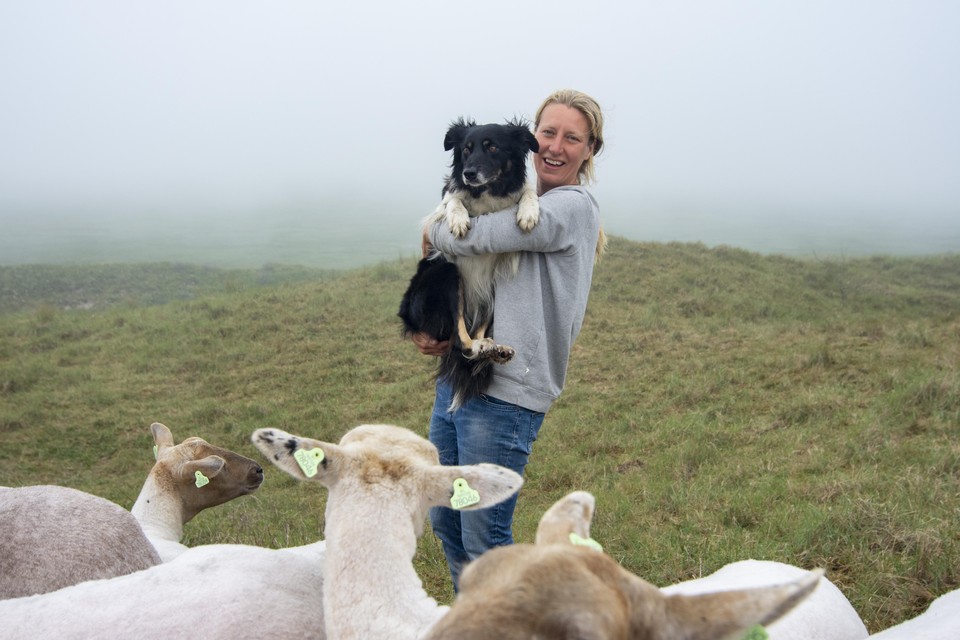 Texelse schaapherder Daphne Hogeweg van de kudde ’Vrolijke schapen’.
