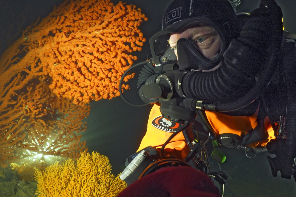 Duiker Bas Poelmann bekijkt een grote rode koraalboom.