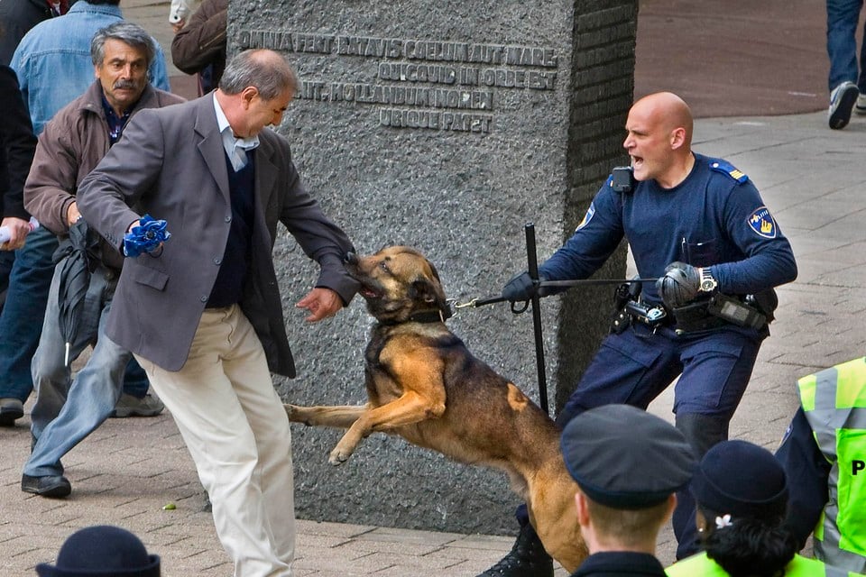 Een politiehond bijt in de arm van een betoger.