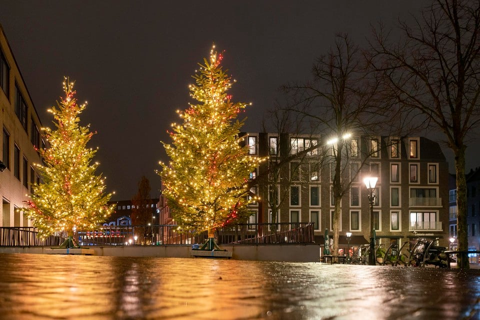 Dor De stad ontwerper Gemeente Alkmaar strooit met kerstbomen. Wie tuigt hem het mooist op? |  Noordhollandsdagblad