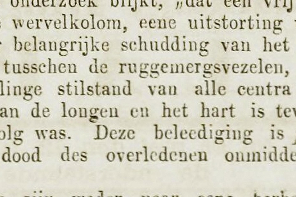 Een fragment uit de Heldersche en Nieuwedieper Courant.