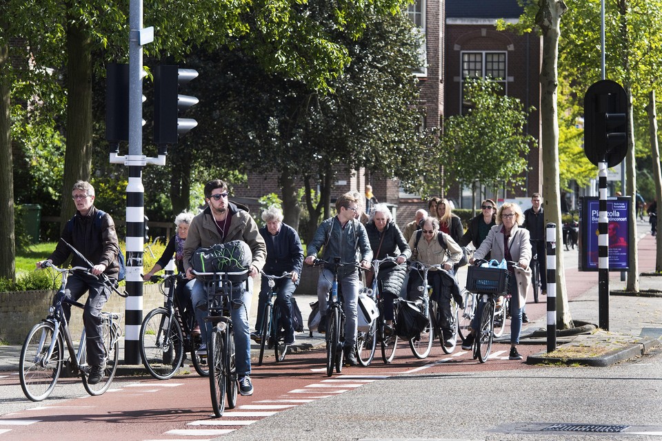 Lotsbestemming Uitgaan Verhoog jezelf Lege fietsenstallingen opvullen en langs acht wegen nieuwe fietspaden, zo  wil de gemeente Haarlem dat de tweewieler voorgoed ingeburgerd raakt in de  stad | Noordhollandsdagblad