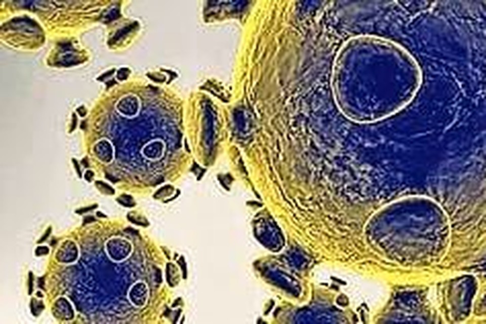 Het coronavirus zorgt nog steeds voor nieuwe besmettingen.