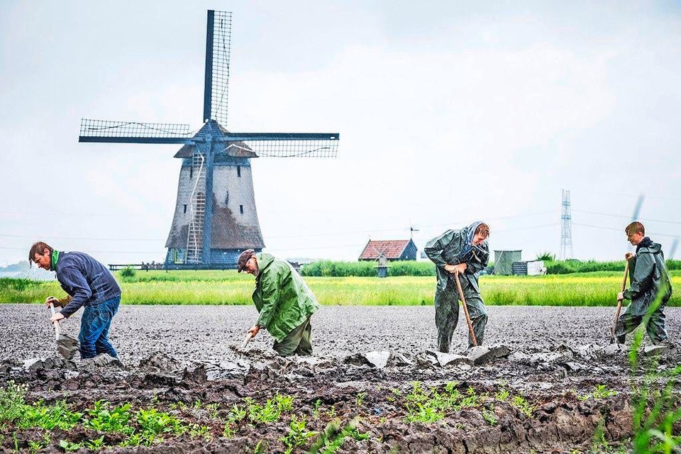 Ted Vaalburg uit Zuidschermer heeft medewerkers ingezet om op het land met aardappelen geulen te graven en te ’greppelen’.