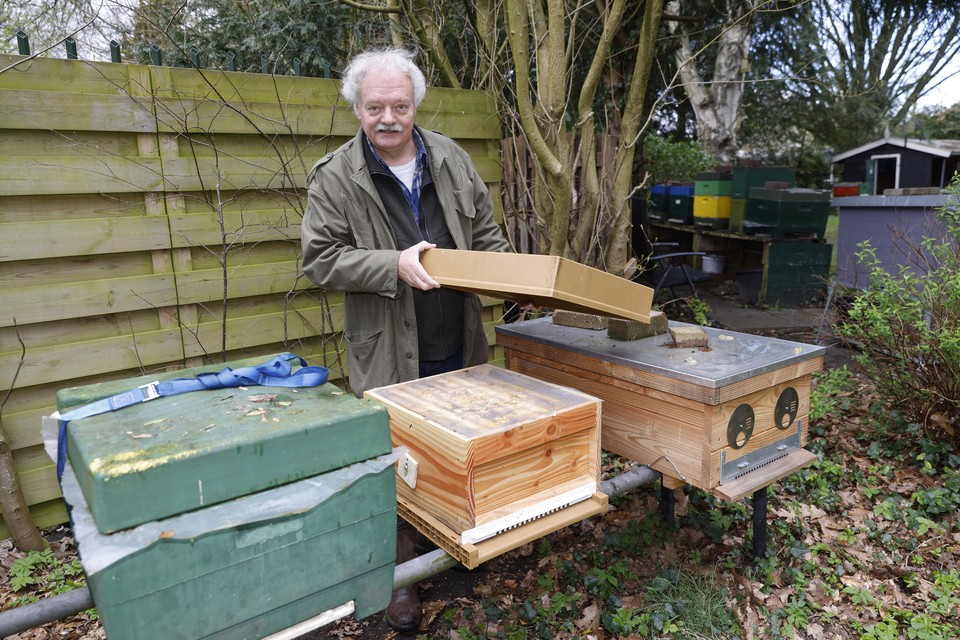 De afgelopen winter zijn er volgens imker Jan Driessen opvallend veel bijen gestorven.