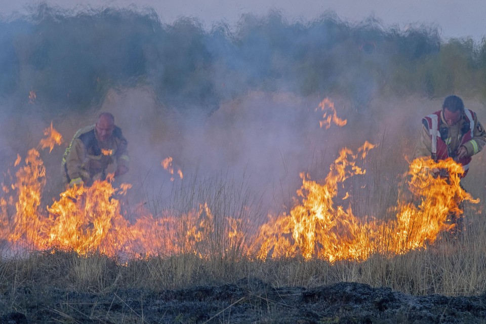 Natuurbrand in het Bargerveen in Drenthe.