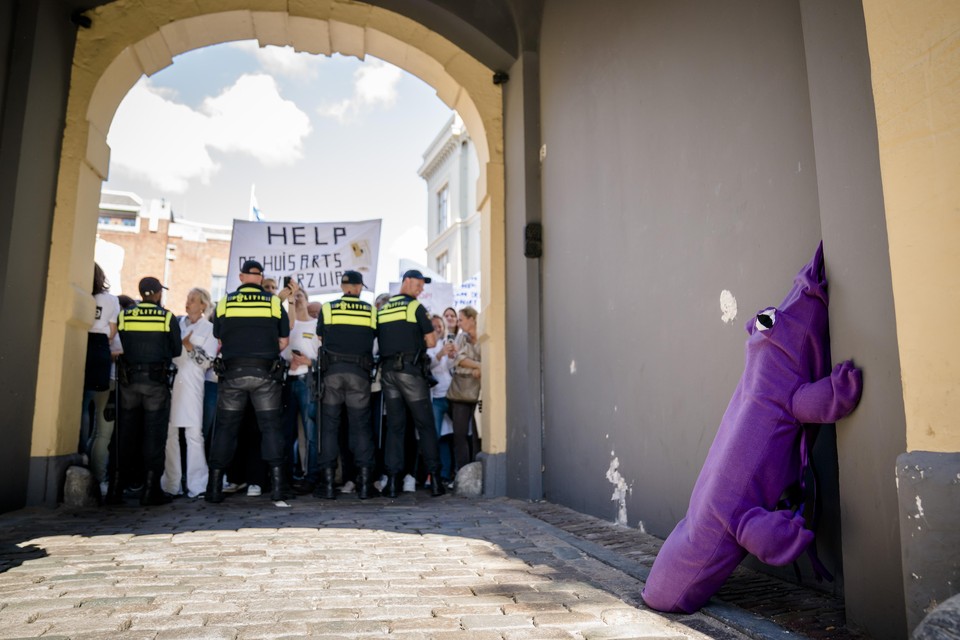 De politie houdt demonstrerende huisartsen tegen bij de entree naar het Binnenhof.
