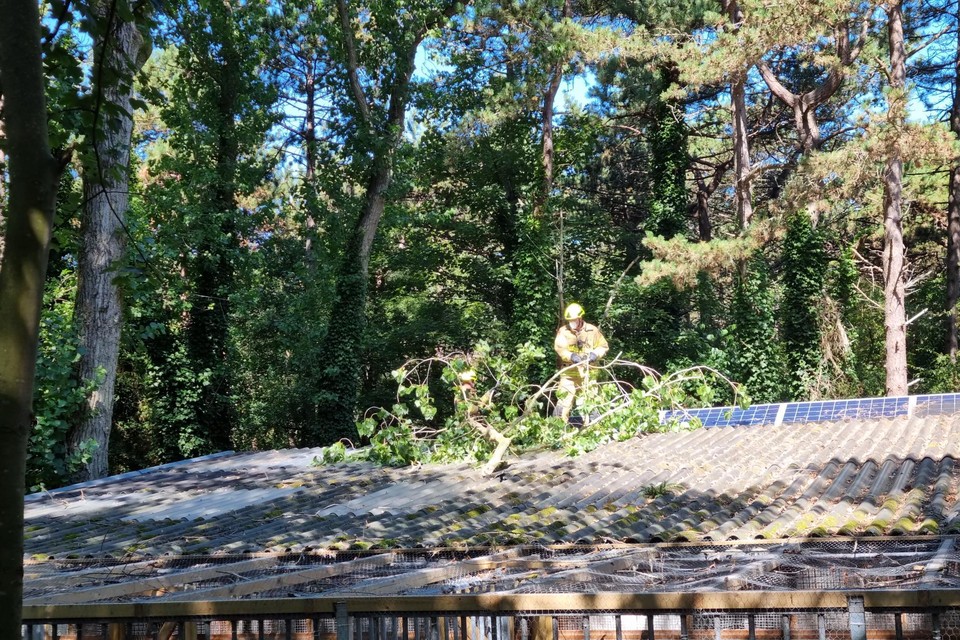 Een brandweerman haalt de tak van het dak.