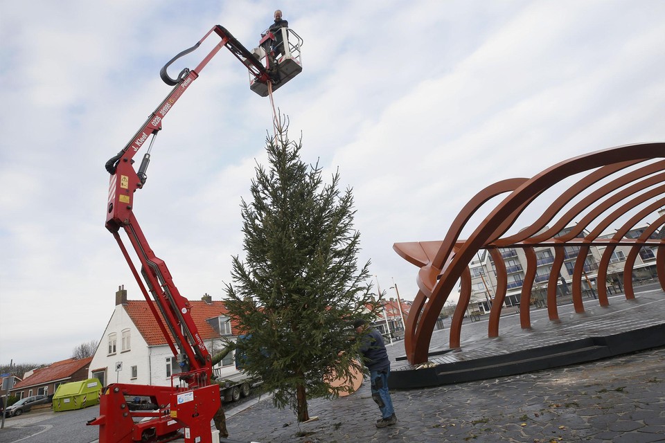 De kerstboom op het Plein 40-45 in Petten wordt nauwkeurig op de juiste plek gezet.