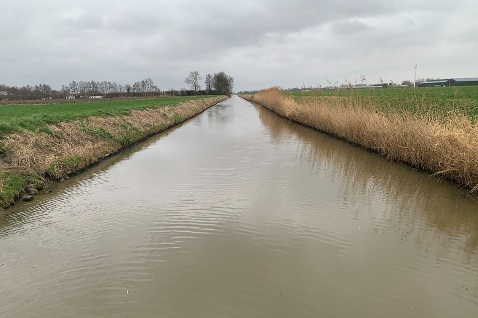 Kanaal in polder De Drieban tussen Torenweg en Markerwaardweg.