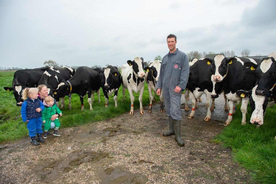 Onbegrip bij boeren plannen vanuit Den Haag om stikstofuitstoot te verminderen: 'Natuurlijk laat een koe wel eens een scheet, maar daar gaat de aarde echt niet andersom draaien' | Noordhollandsdagblad
