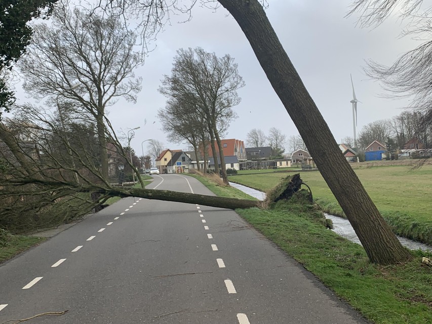 Een omgevallen boom blokkeerde vanmiddag de Tuinstraat in Hauwert.