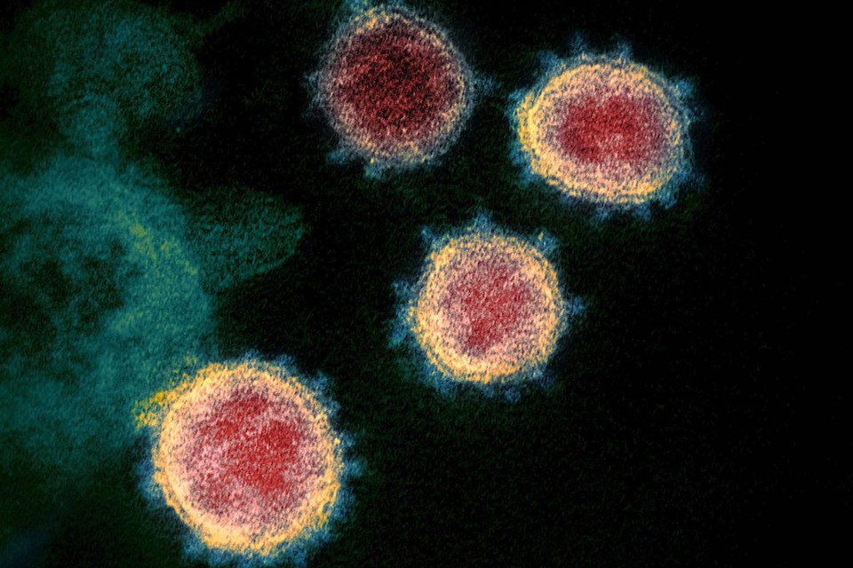 Het coronavirus heeft twee overledenen in Heerhugowaard en twee in Castricum geëist.