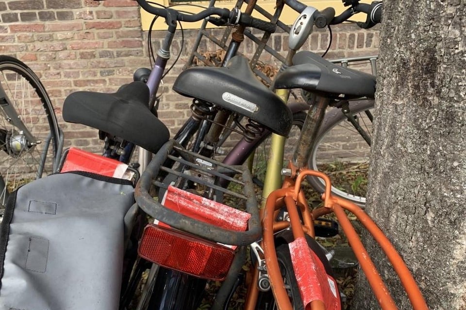 walgelijk spoel twee weken Laat je fiets niet te lang staan in Alkmaarse binnenstad: grote opruimactie  voor de kermis begint | Noordhollandsdagblad