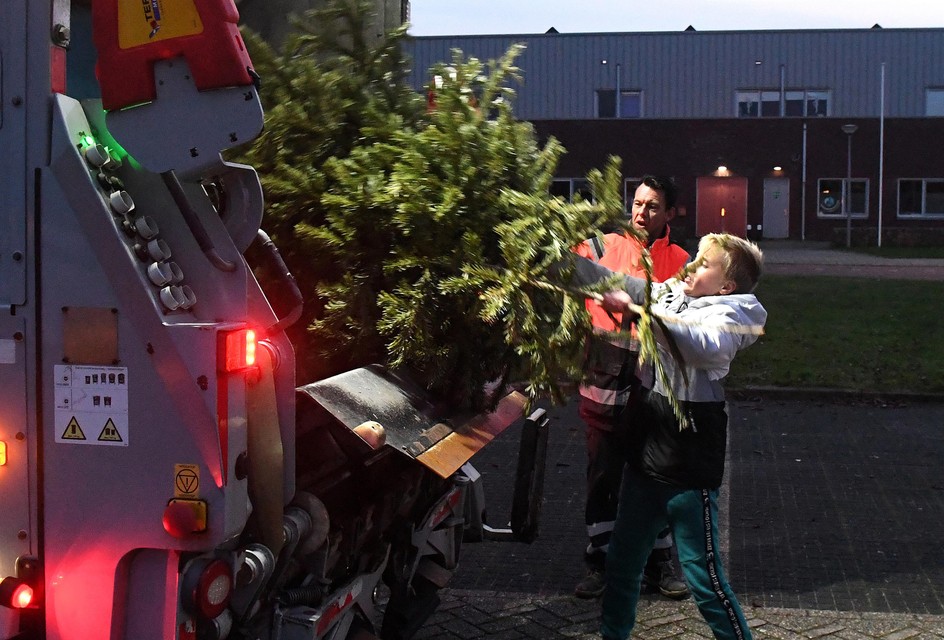 Kerstboomsleper Sem gooit zijn bomen in de wagen, Sander Boomstra van de HVC houdt de boel in de gaten.