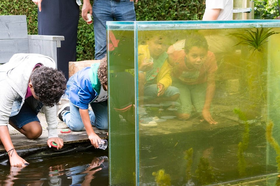 ’Beestjesdag’, een van de vele educatie-activiteiten van de Hortus Alkmaar