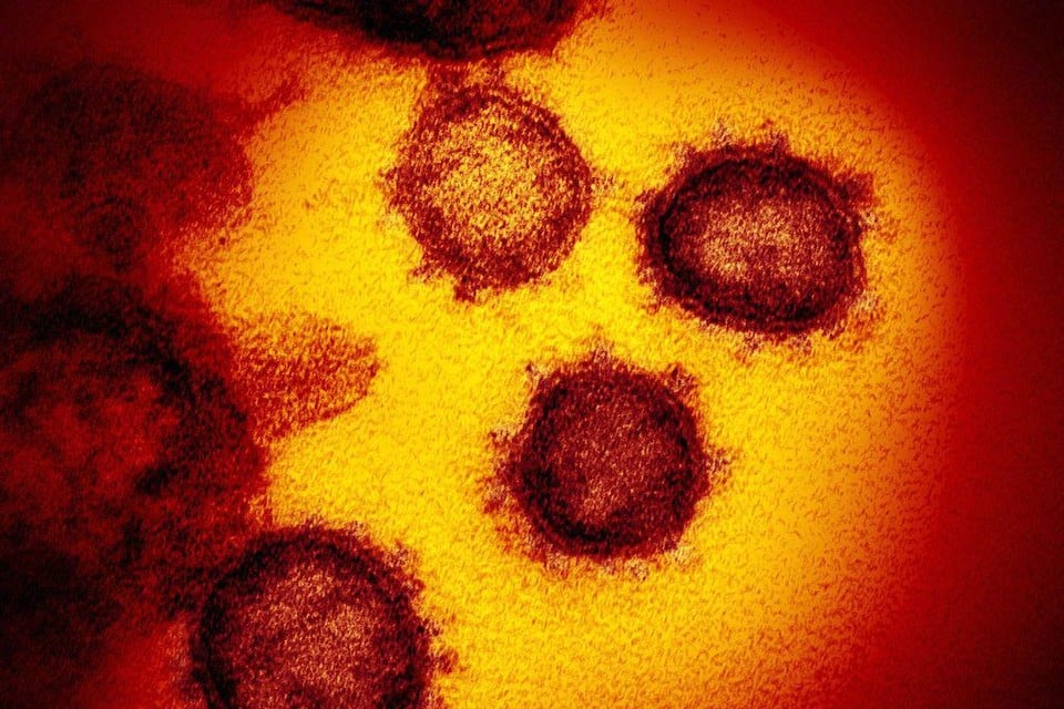 Het coronavirus slaat weer om zich heen.