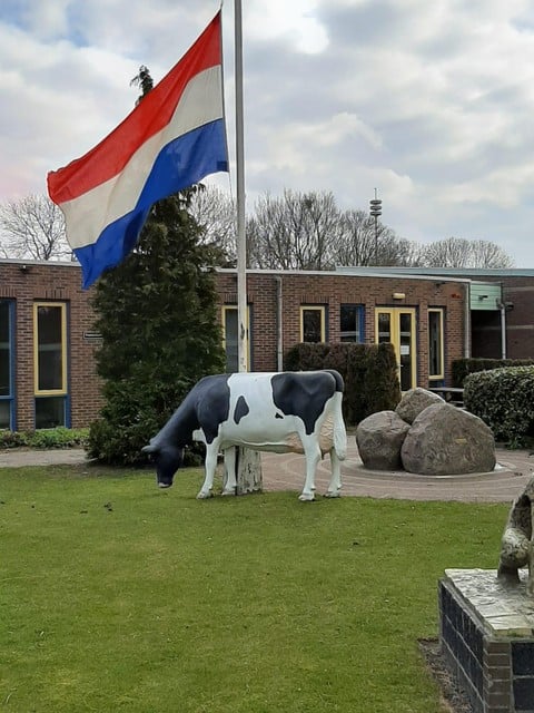 De vlag hangt halfstok en voor de school ’graast een koe’, als verwijzing naar de kunstwerken die meester Bos zijn leerlingen jarenlang liet maken.