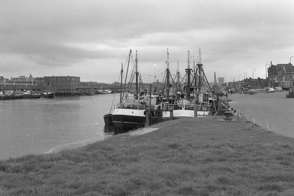 De haven van IJmuiden in 1961.