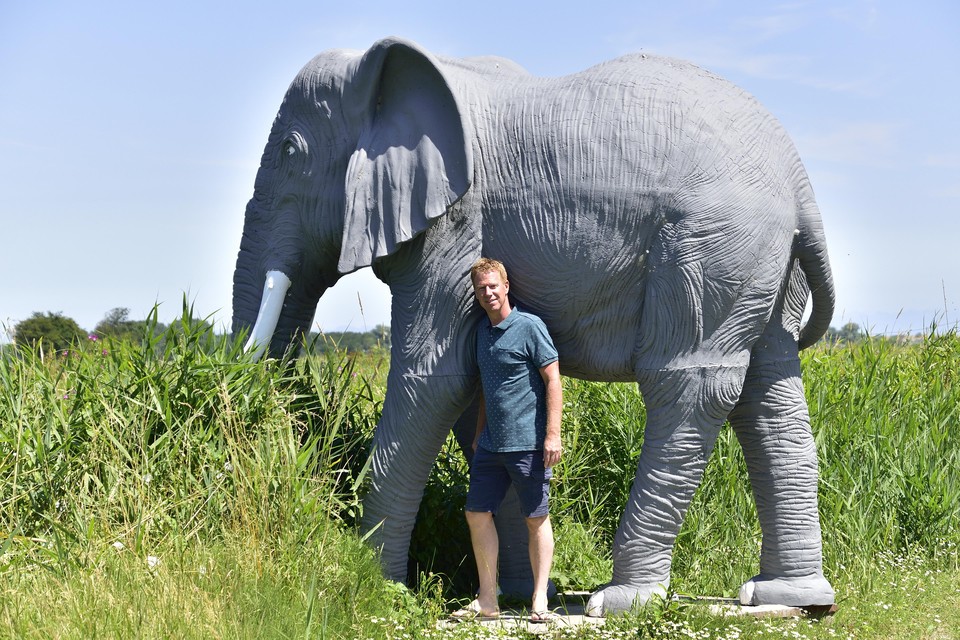 Robert Kruijff bij een van de nepolifanten die voorbijgangers nieuwsgierig moeten maken naar de toekomstige opvang op Hoenderdaell.