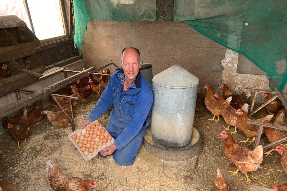 Jacob Blank uit Opmeer heeft zijn kippen uit voorzorg opgehokt. ,,Ze kopen praktisch alle eieren op.’’