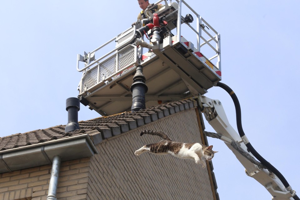 Brandweer probeert in Huizen een kat te redden, maar op het laatste moment gaat het dier er vandoor