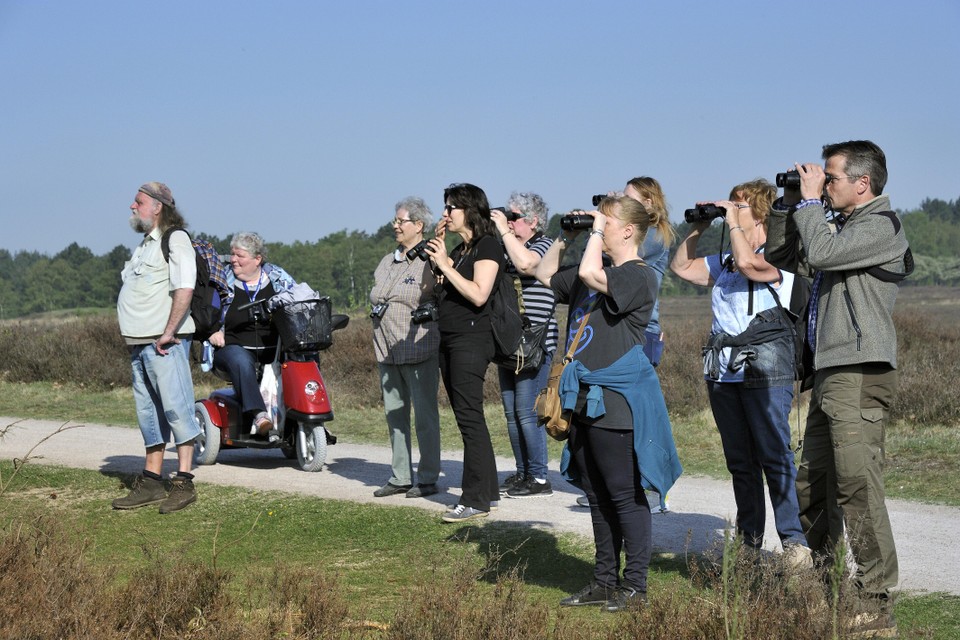 Lekker bewegen, zoals deze wandelaars via Viore doen met vogelkenner Mark Eising rond het Laarder Wasmeer in Hilversum, is belangrijk om zo lang mogelijk gezond te blijven.