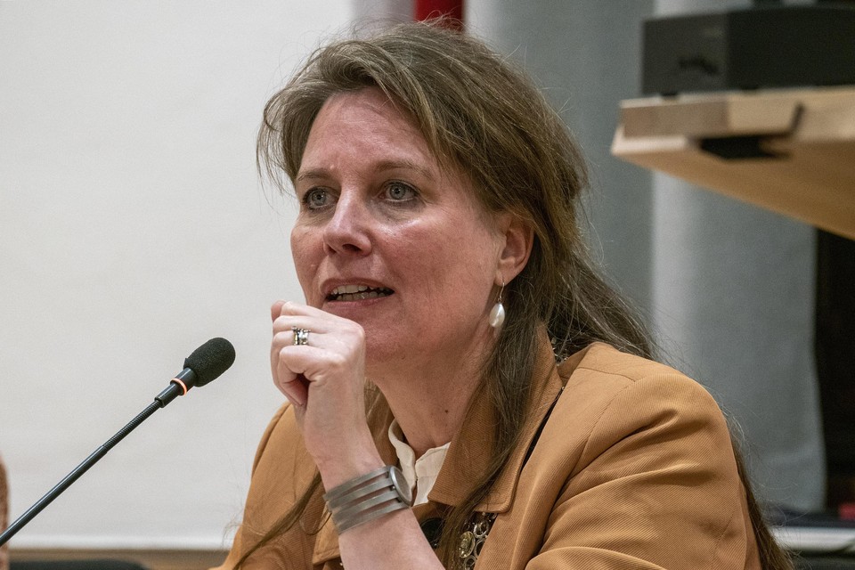 Burgemeester Anja Schouten wil haar partijvrije rol beschermen.
