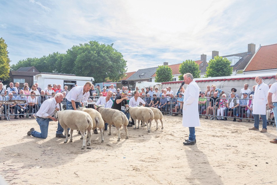 Loek van Vliet (links) en naast hem Ido Altenburg proberen hun schapen van hun beste kant te laten zien.