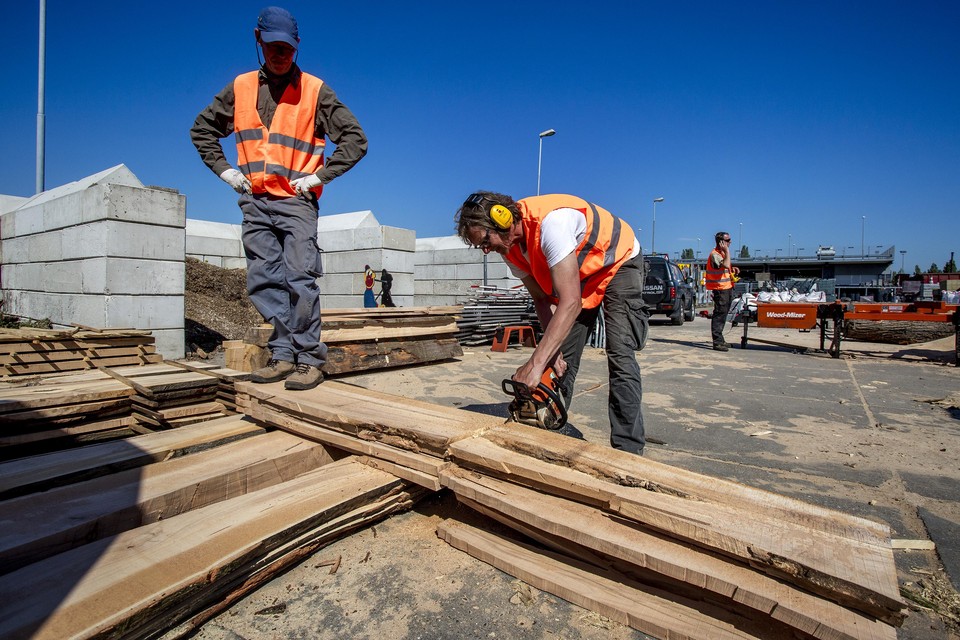 Medewerkers van Spaarnelanden aan het werk met hout.
