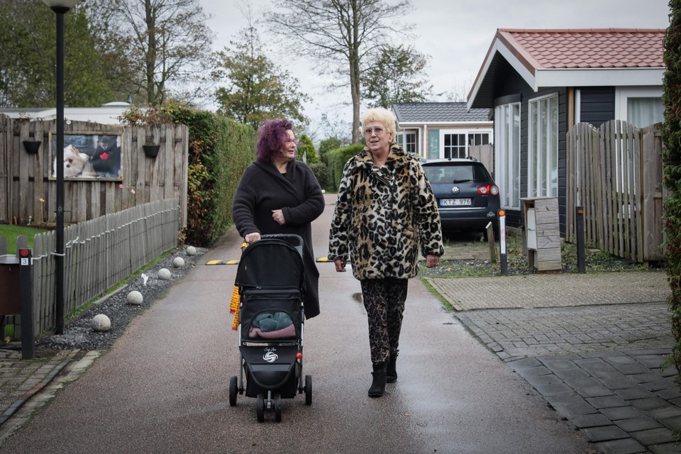 Yvonne van Raaij (r) en een buurvrouw in park De Leijen. ,,we zijn ook gewoon burgers van Koggenland.”