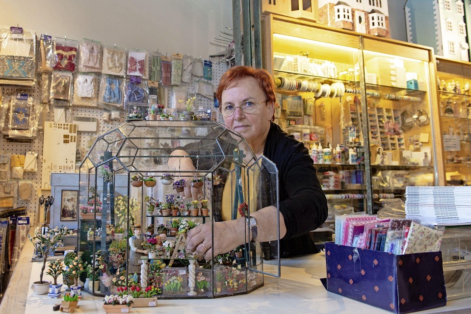Accumulatie terugtrekken publiek Avontuur in miniatuur, welkom in de kleine wereld van Betsy Slaats |  Noordhollandsdagblad