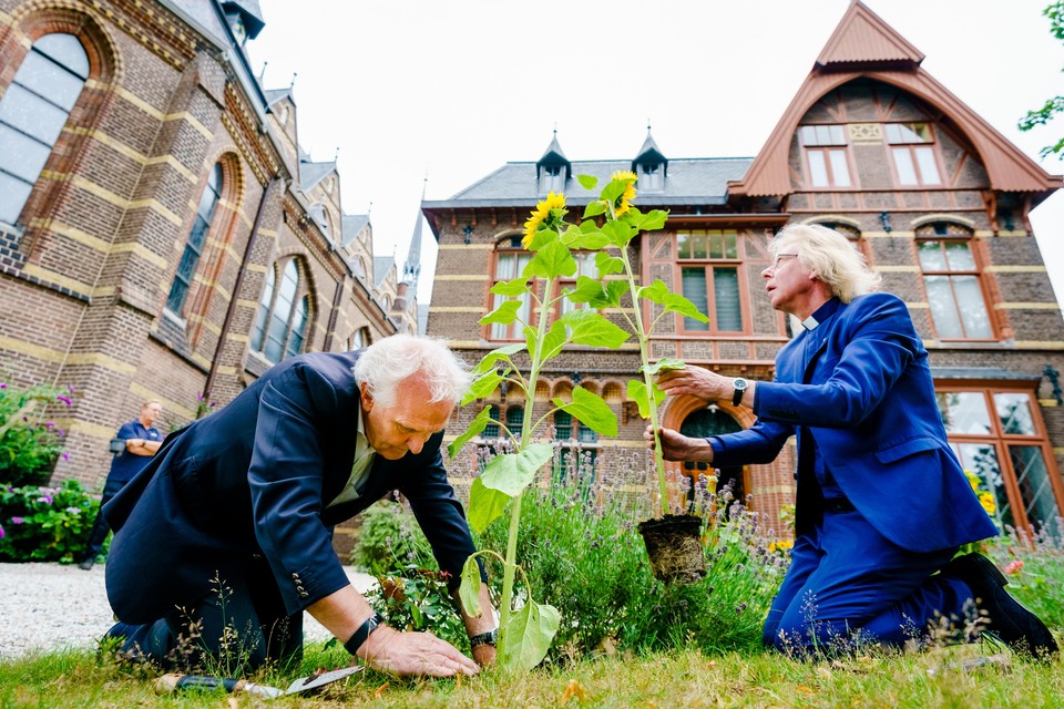 Burgemeester Pieter Broertjes en patoor Jules Dresmé planten zonnebloemen uit Oekraïne bij de Vituskerk.