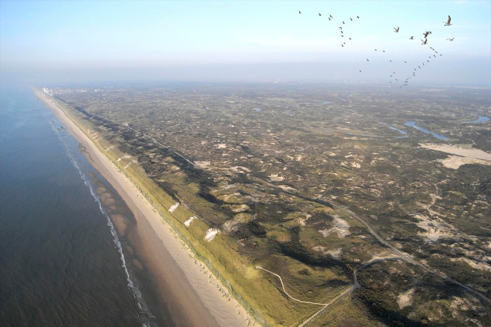 Het duingebied tussen Noordwijk en Zandvoort.